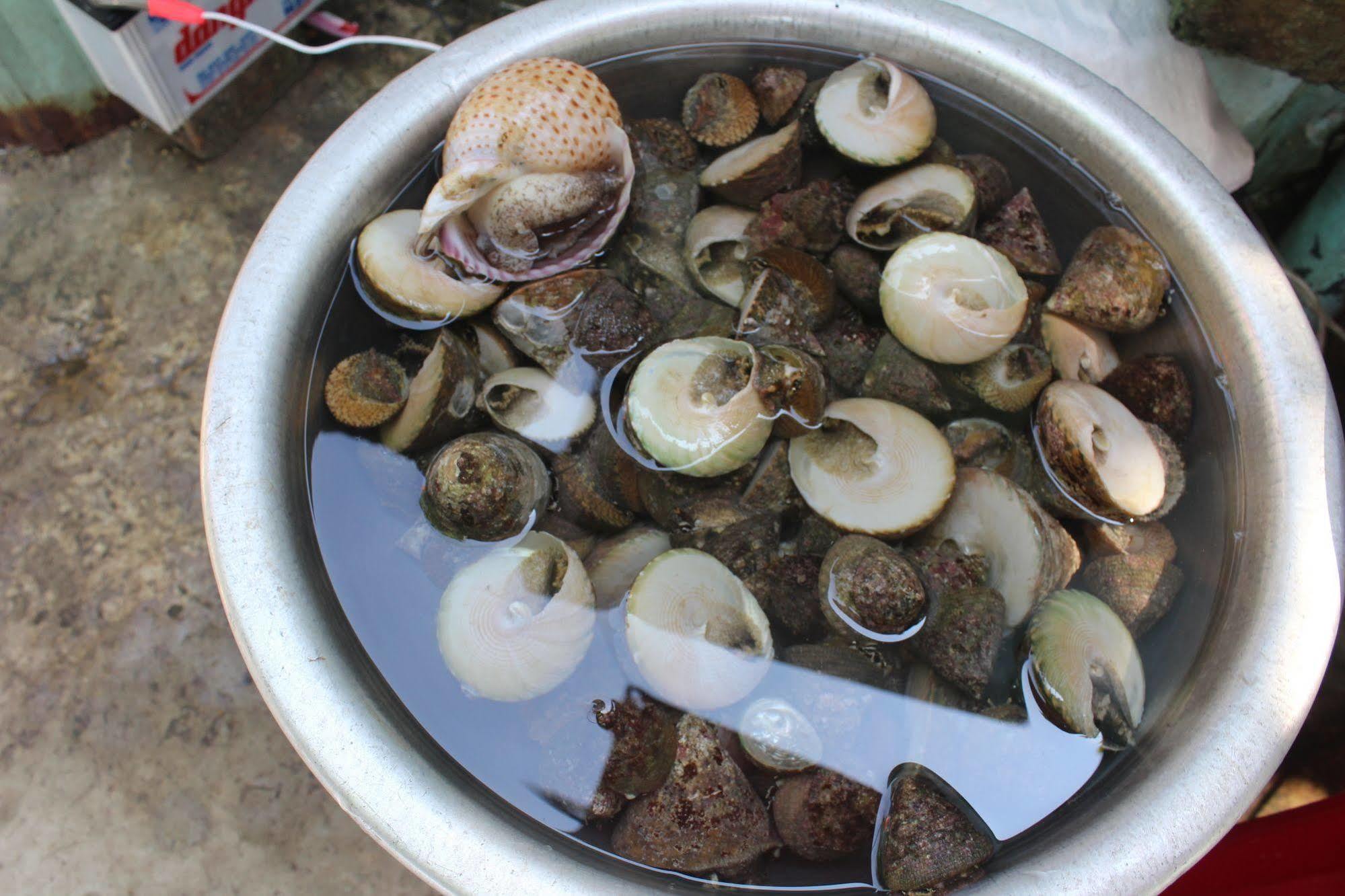 Tân Hiệ Bai Huong Cu Lao Cham Homestay מראה חיצוני תמונה